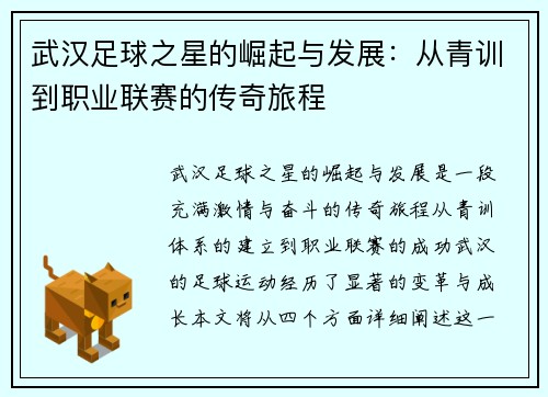 武汉足球之星的崛起与发展：从青训到职业联赛的传奇旅程